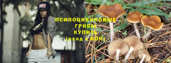 героин Алексин